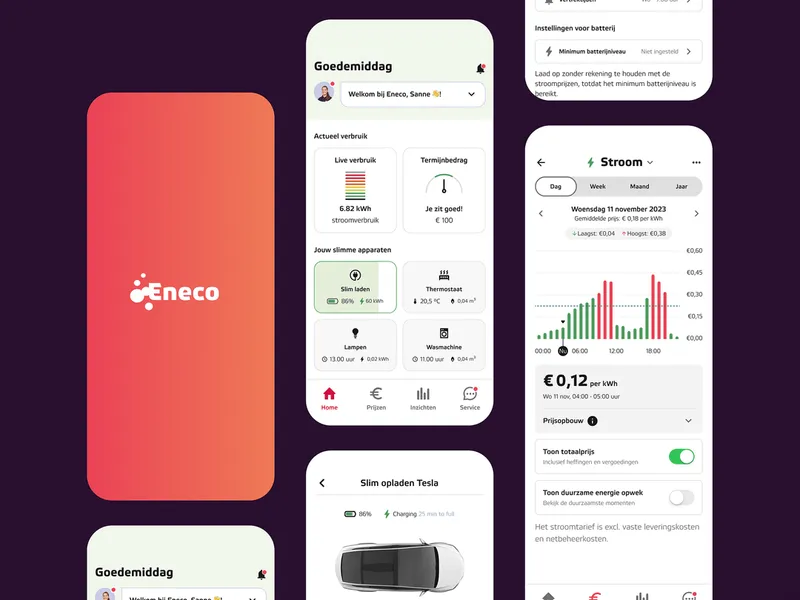 Launching a New Energy Pricing Model